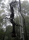 DSC01129